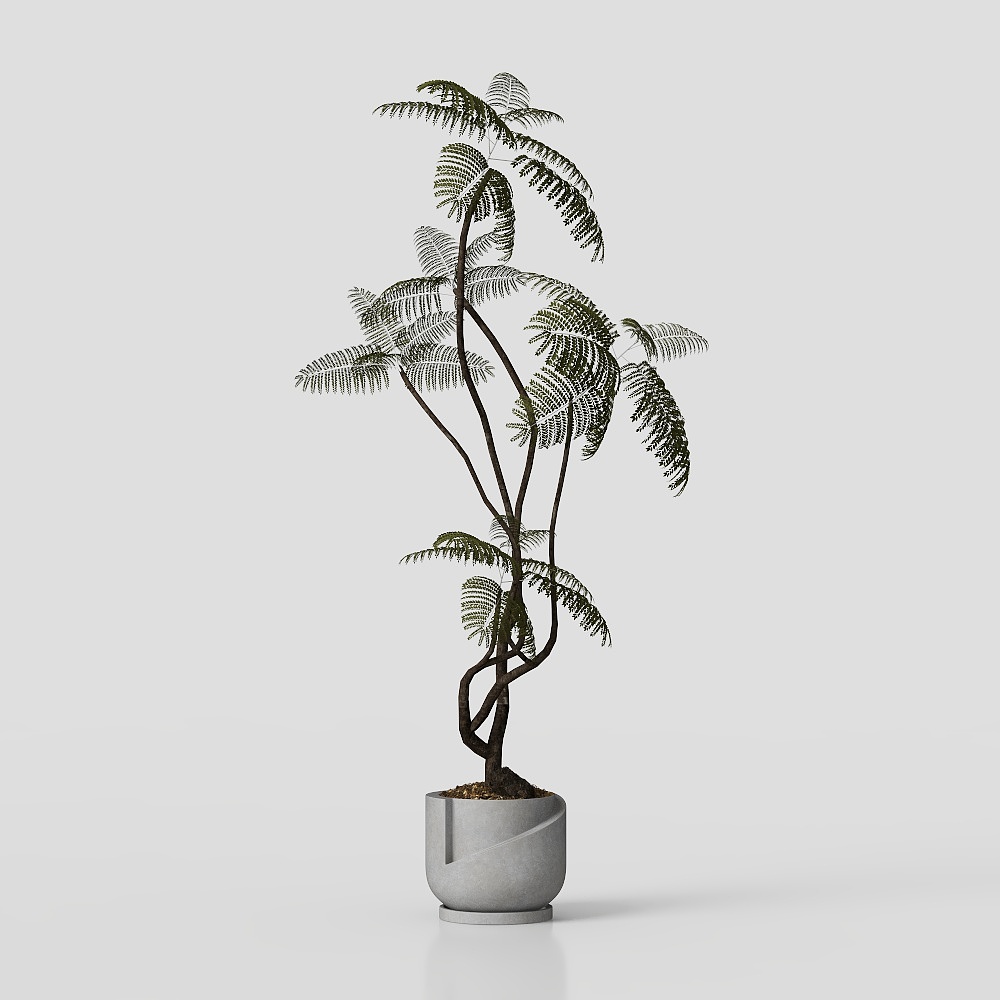 Urban Oasis Low-Poly Indoor Plant 3D model