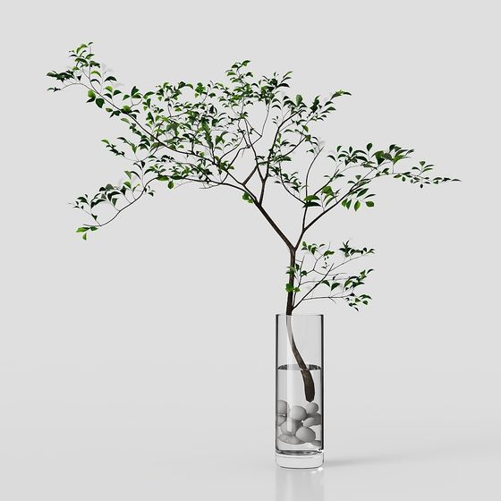 Hydroponic Green Plant 3D model