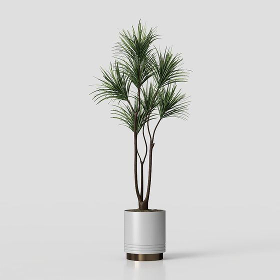 Green Plants