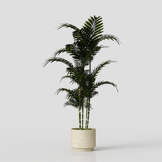 Stylish Indoor Plant 3D Model for Modern Homes