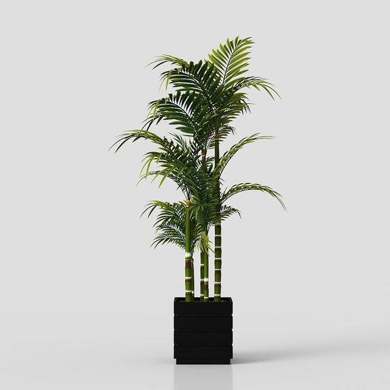 Realistic Indoor Plant 3D Model for Vibrant Spaces