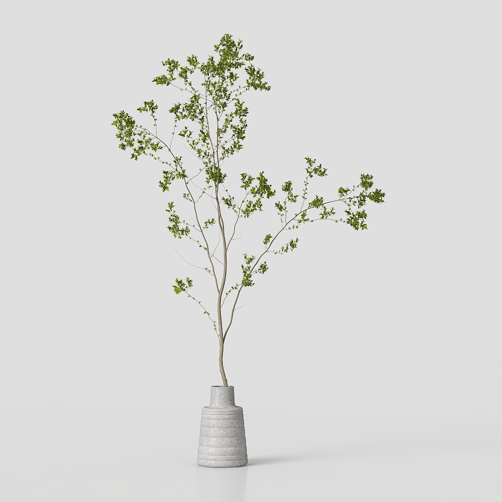 Ze Yi - Gruppe grüner Pflanzen 001