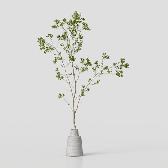 Ze Yi - Gruppe grüner Pflanzen 001