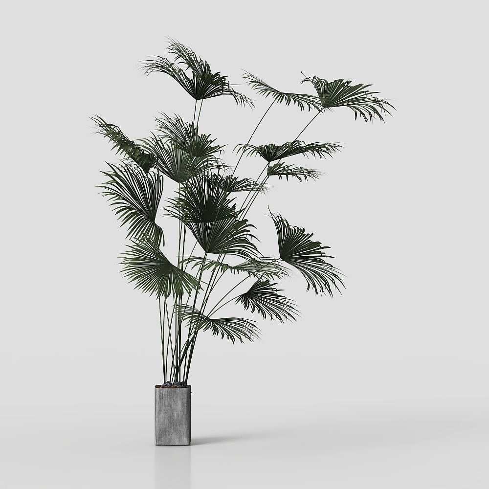 Living and Dining Room 01 Green Plant