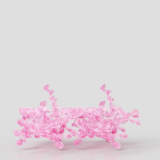 Cherry Blossom 3D model