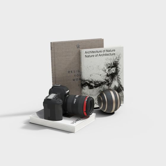 High-Detail Low Poly Camera 3D model