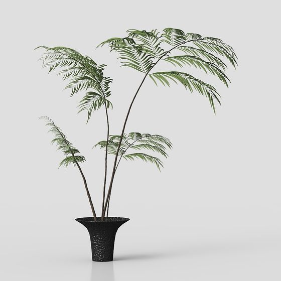 Tropical Style Potted Plant 3D model