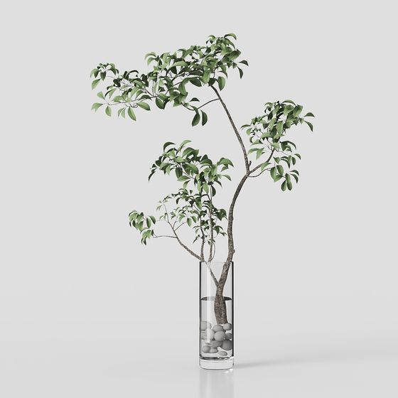 Lively Indoor Plant 3D Model for Creative Projects