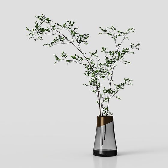 Glass Vase with Green Plants 3D model