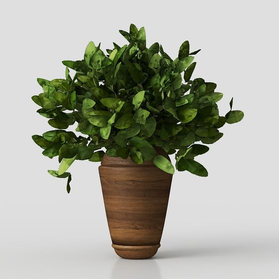 Lively Potted Plant 3D model for Creative Spaces