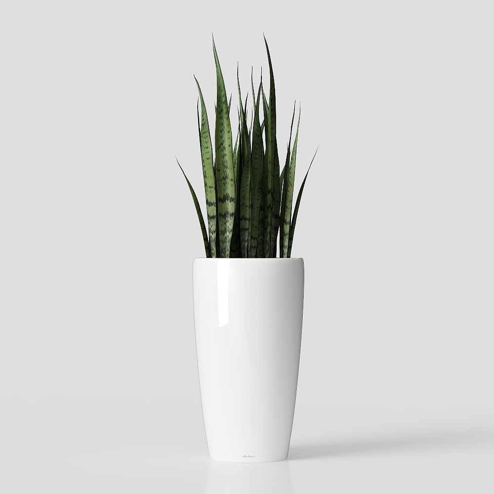 Ornamen tanaman hijau modern