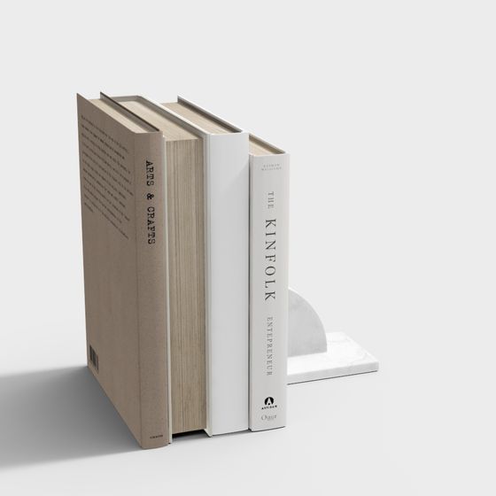 Stylish Bookshelf and Books 3D model
