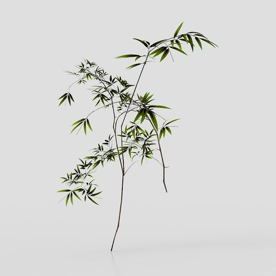 Bamboo Grove Soul 3D model