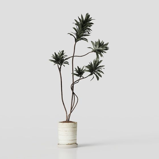 Urban Greenery 3D model