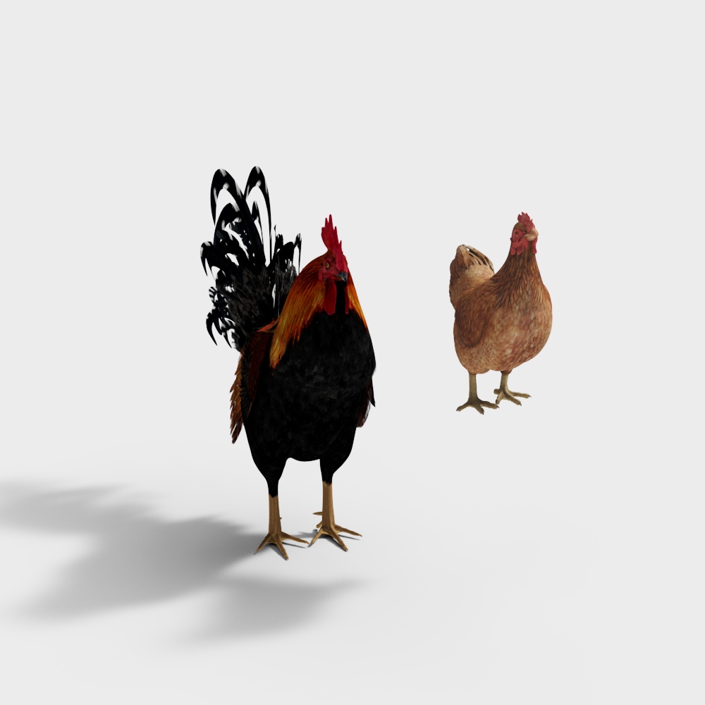Chicken Duo 3D model