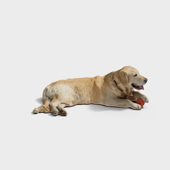 Relaxed Golden Retriever 3D model