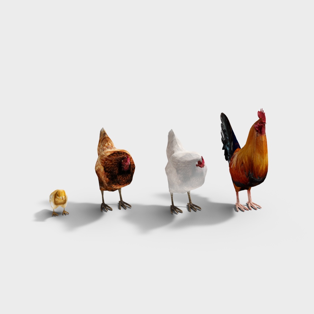 Charming 3D Low-Poly Chicken Models for Creative Projects