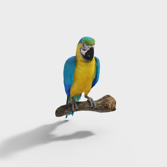 Parrot Paradise: A Vibrant 3D model for Creatives