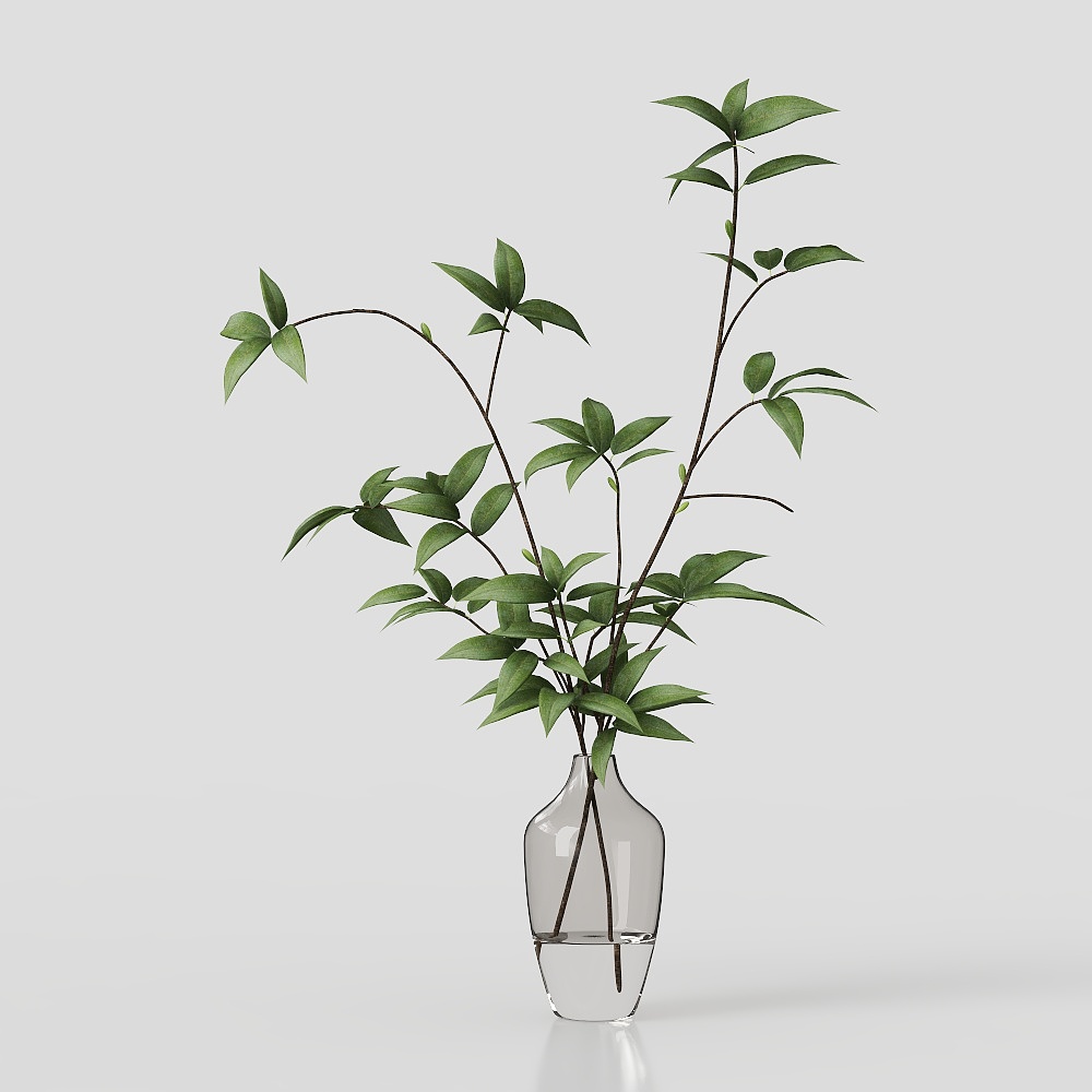 Green Plant Decoration 523