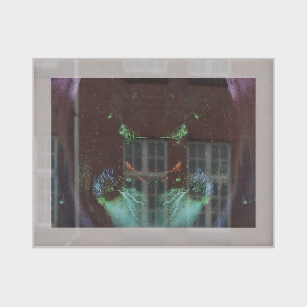 Decorative Painting - Exotic Creatures