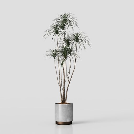 Urban Oasis Potted Plant 3D model