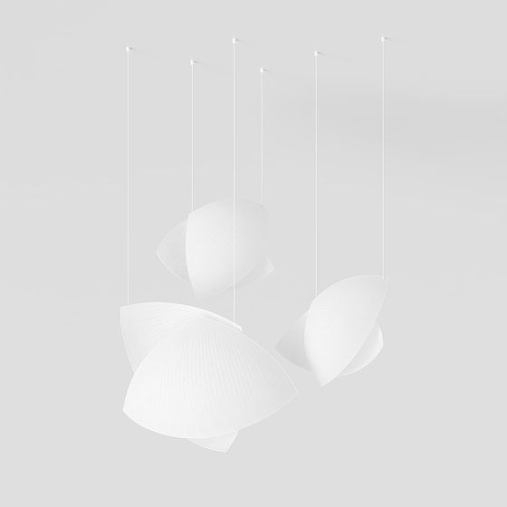 Petals of Light 3D model