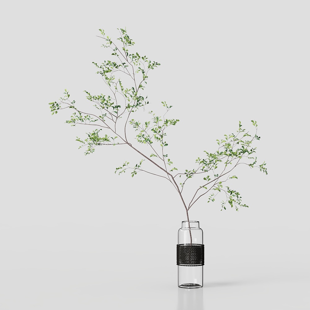 Vaso con piante verdi