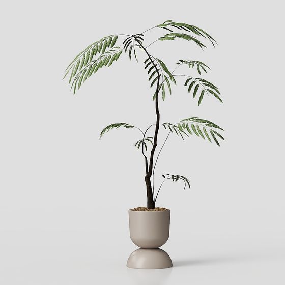 Elegant Indoor Plant 3D Model for Modern Design