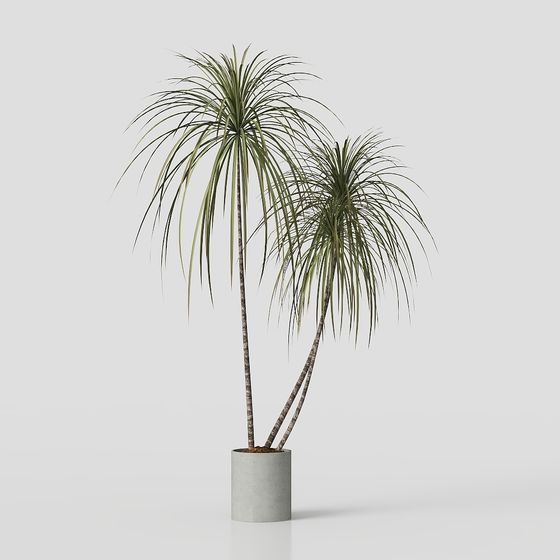 Lifelike Dracaena Tree 3D Model for Creative Spaces