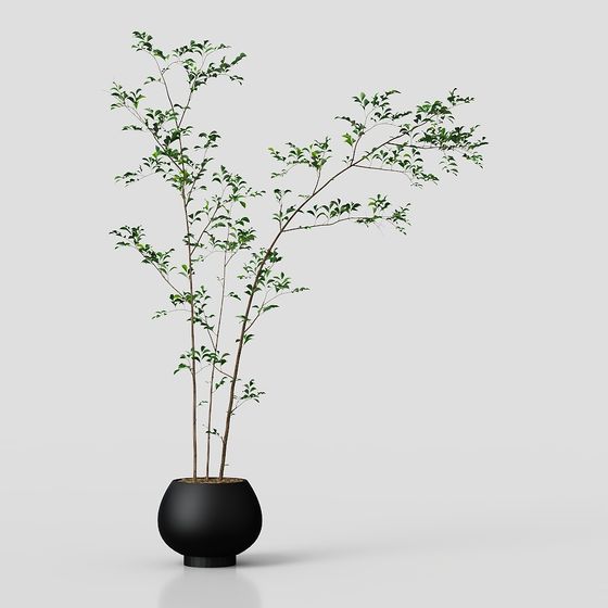 Stylish Indoor Plant 3D Model for Creative Use