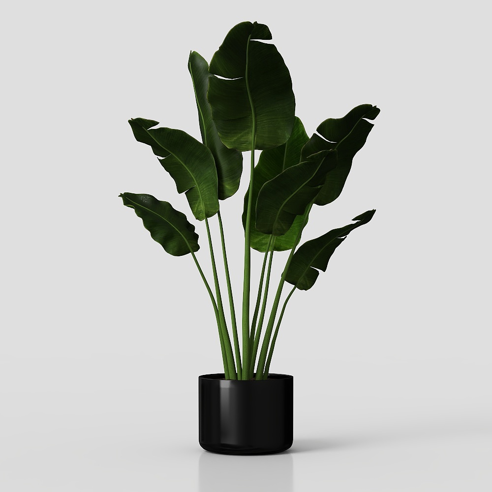Tropical Paradise Bird Plant 3D Model – Low-Poly Green Foliage