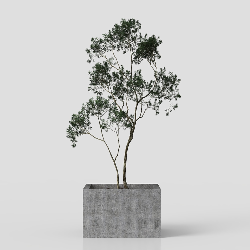 Pianta Verde in Stile Cinese