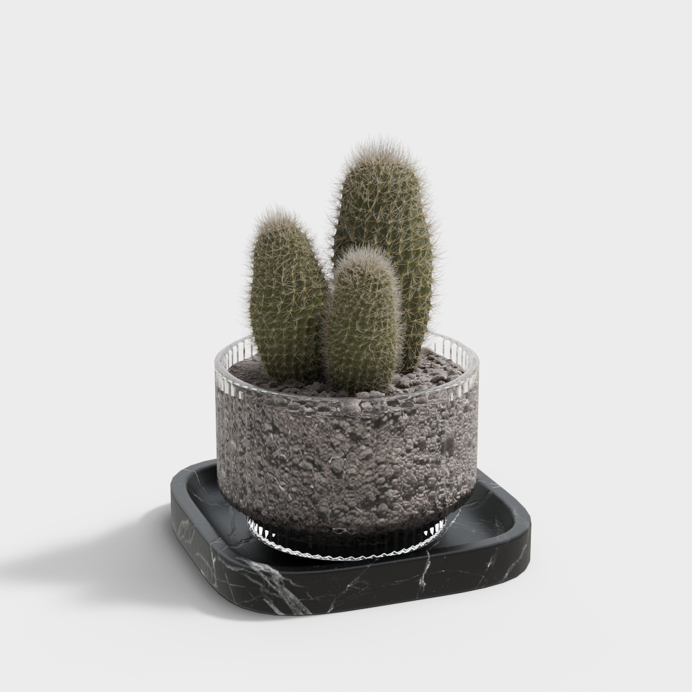 Desert Oasis 3D model
