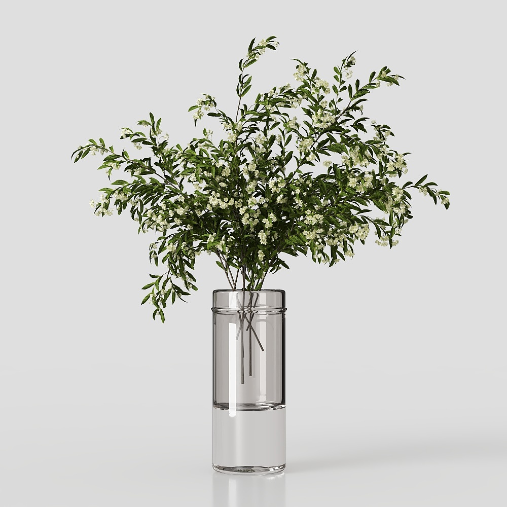 พืชสีเขียว