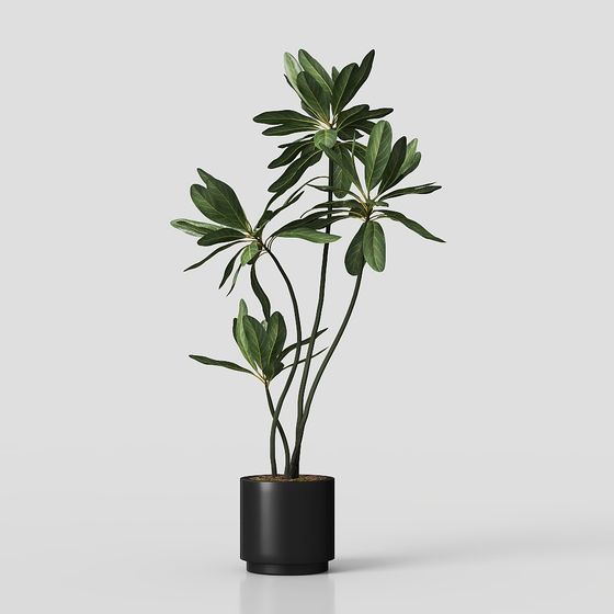 Stylish Indoor Plant Pot 3D model for Modern Spaces