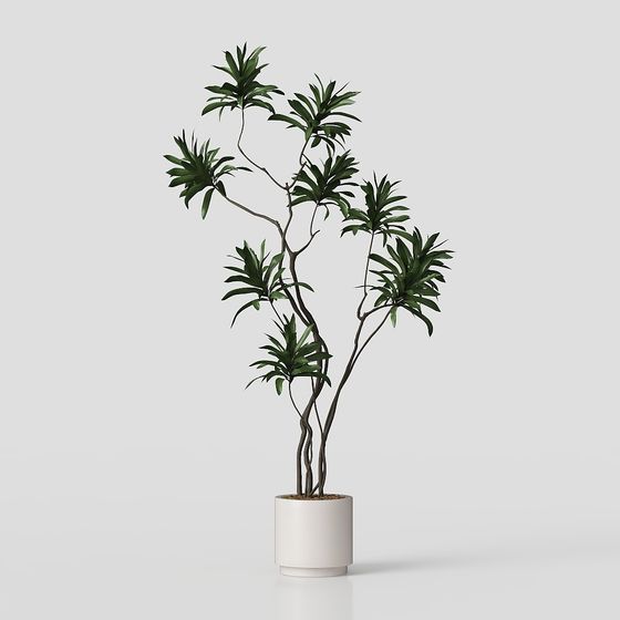 Stylish Indoor Green Plant 3D Model for Creative Projects