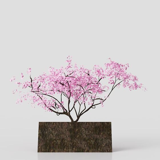 Realistic Cherry Blossom Tree 3D model