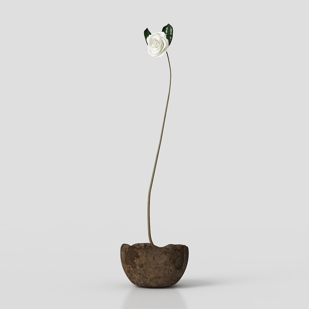 Aesthetically Simple Floral Art