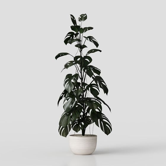 Vibrant Tropical Plant 3D model