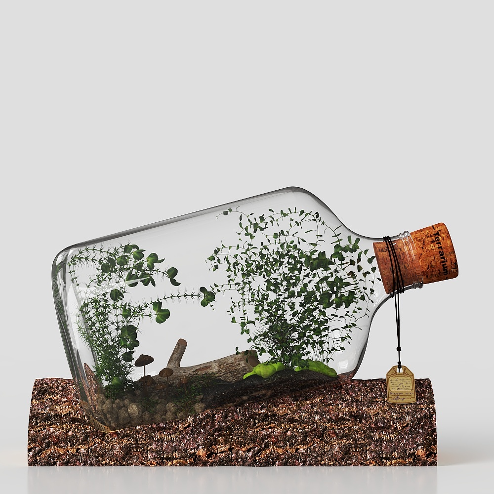 Message in a Bottle Green Plant