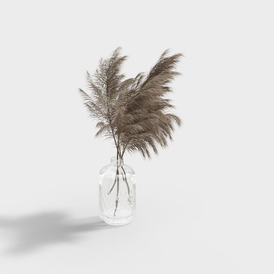 Reed in a Glass Bottle Low-Poly 3D model