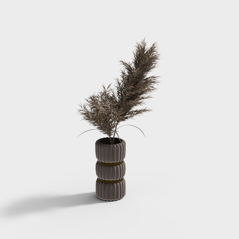 現代乾燥蘆葦花瓶