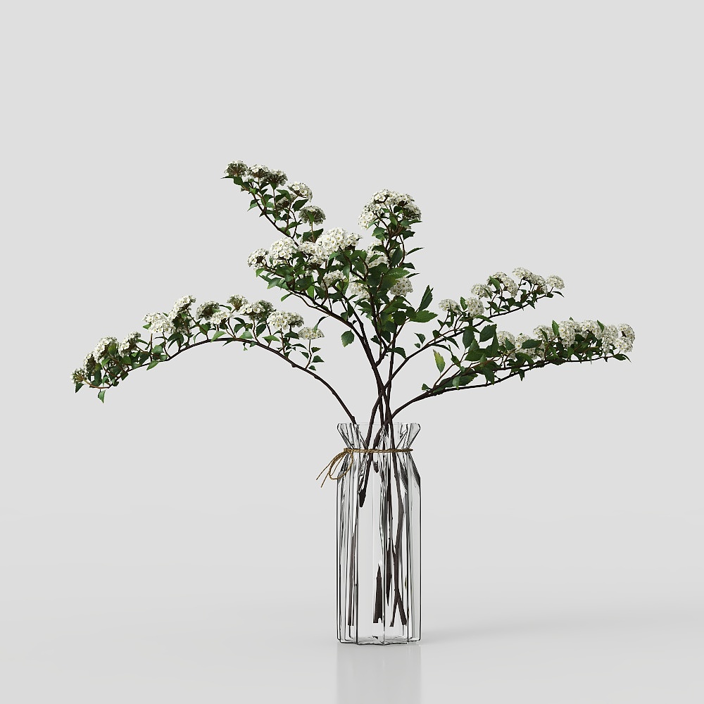 Hydroponic green plant flower arrangement