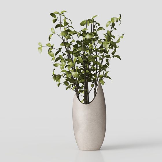 Cây xanh trong bình