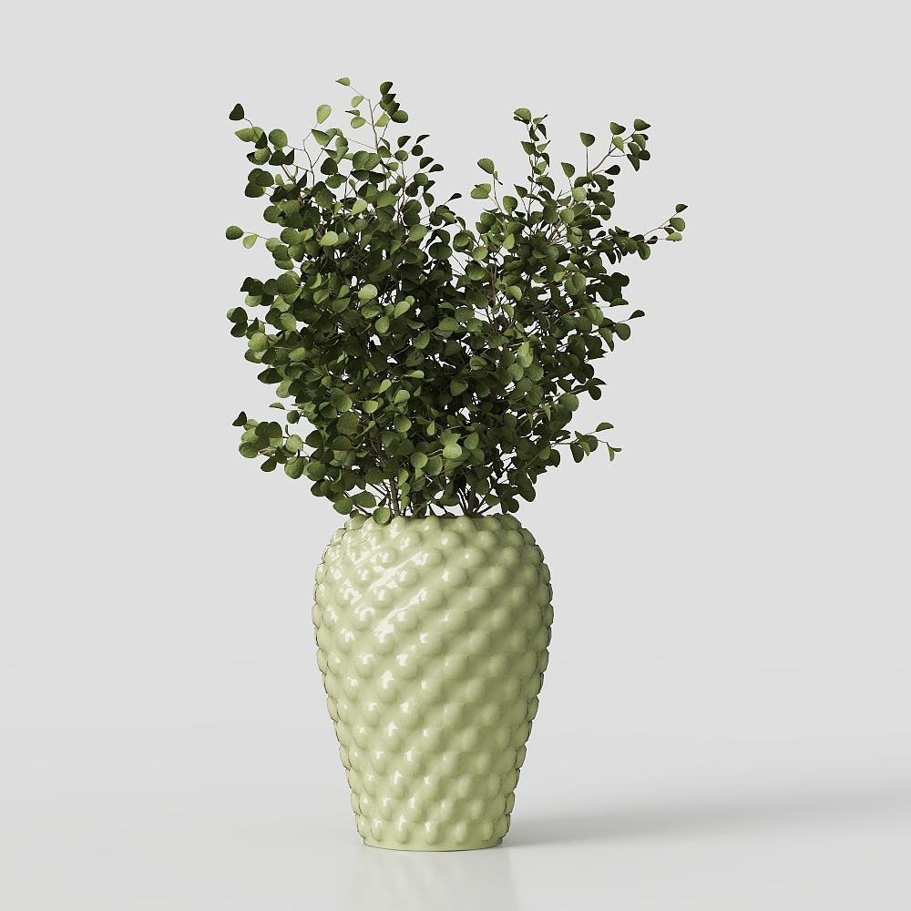 Vase with Green Plant