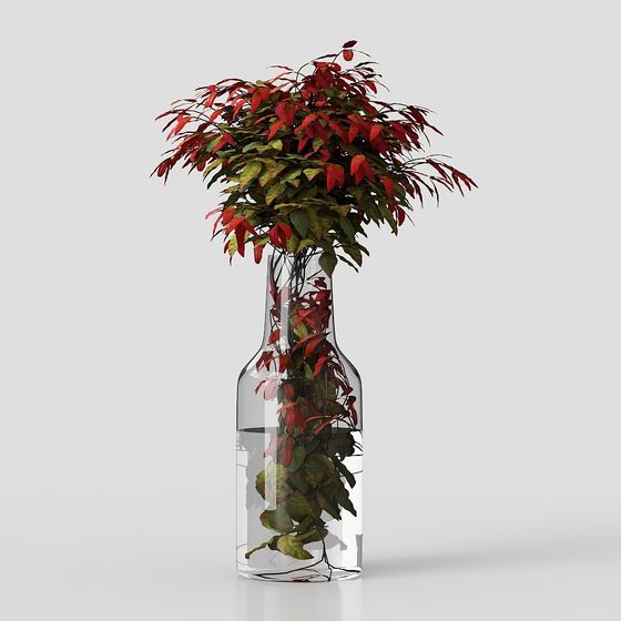 Life in a Glass Bottle 3D model