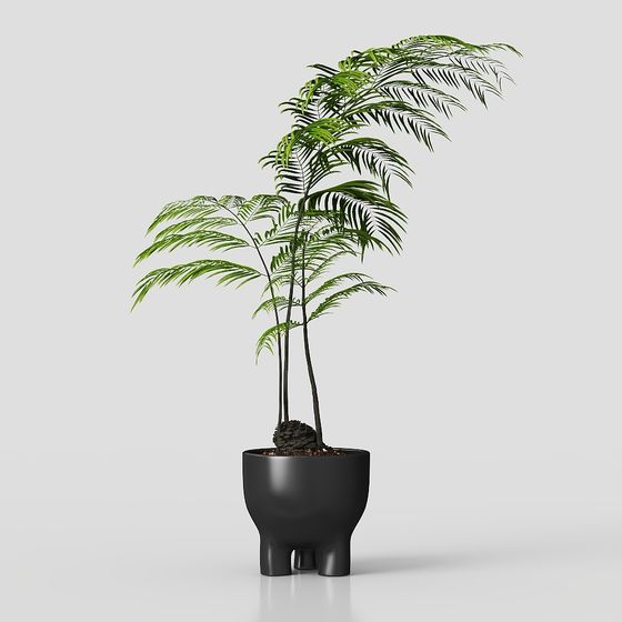 Low Poly Indoor Plant 3D Model
