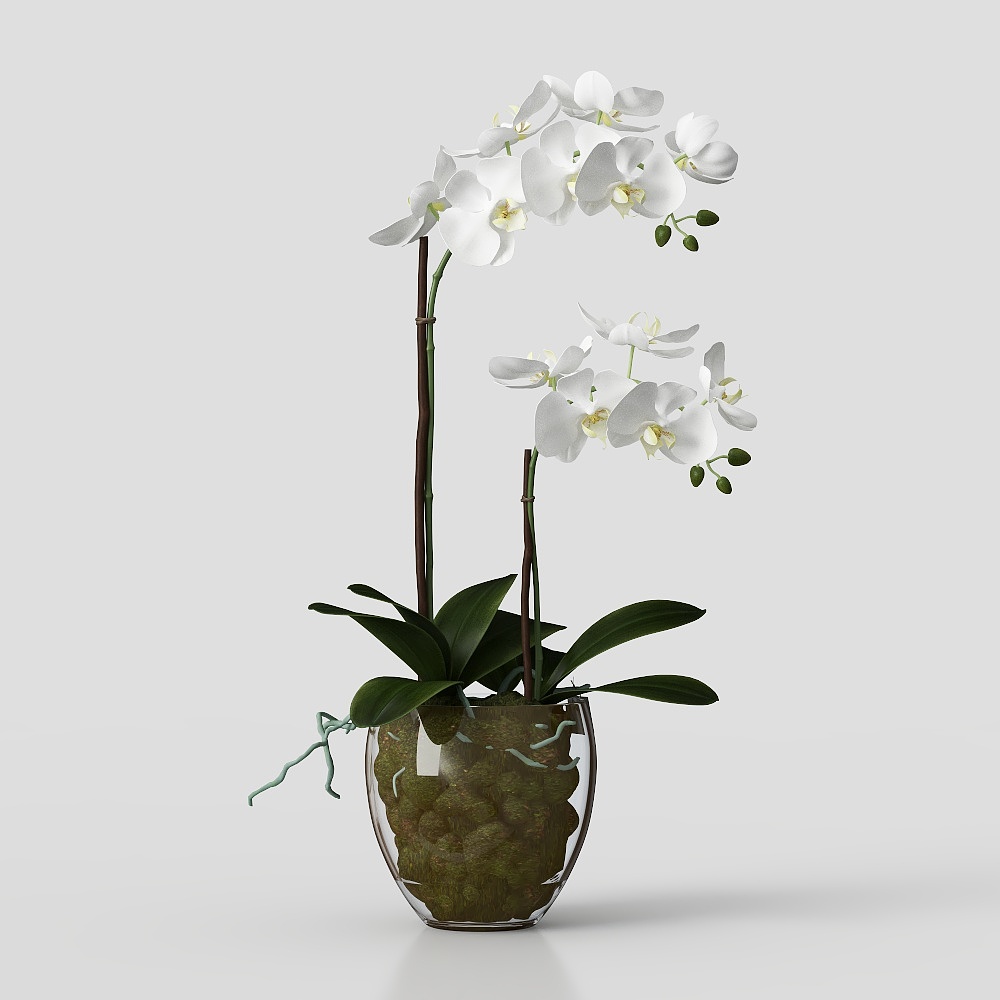 Vaso moderno per piante verdi e fiori