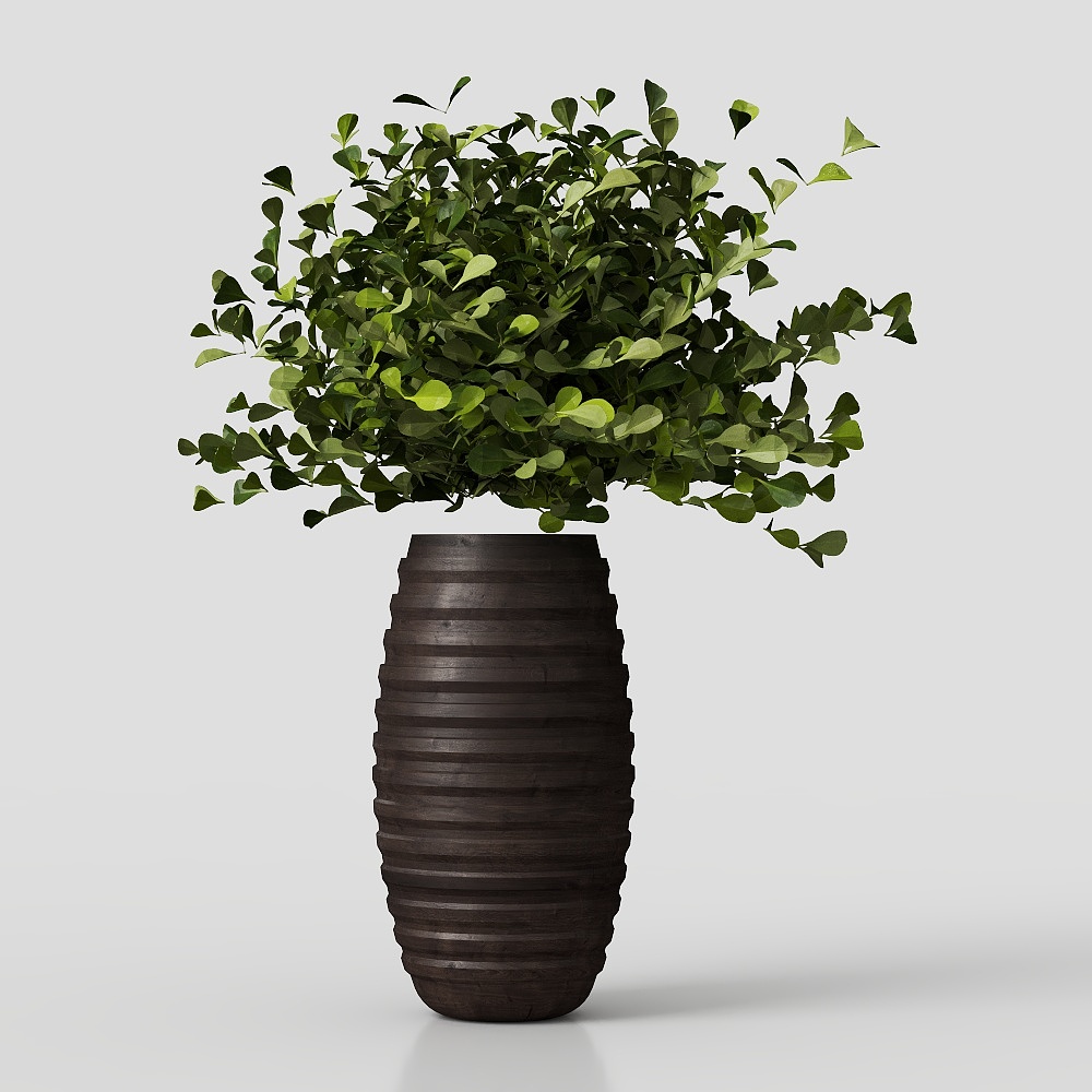 Chậu hoa hiện đại với cây xanh