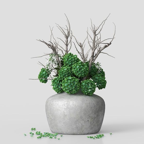 Polygonal Dry Branch Green Plant Bonsai 3D model for Creative Spaces